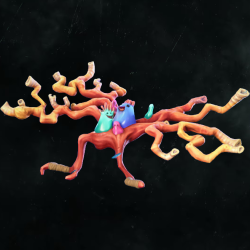 CORAL CRUISER 001 CUT BY CRAFTDANIMATION