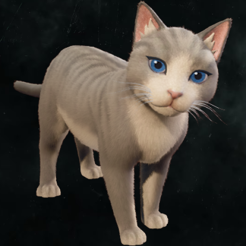 THE BEST CAT 001 CUT